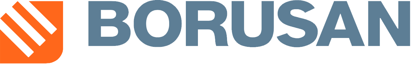 Логотип Borusan